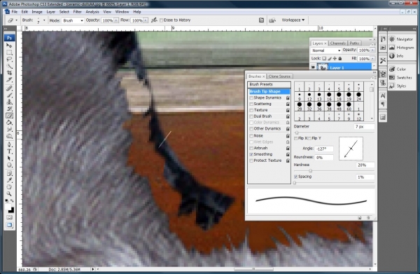 Creation of El Gato Loco: Step 2